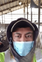 NY Immigrant worker wearing a surgical mask