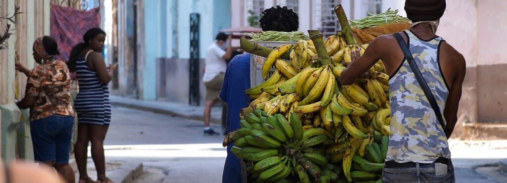 Vendor pushing a cart of bananas