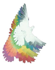 White Dove with rainbow wings