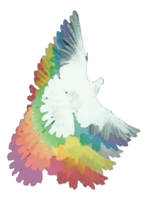 White Dove with rainbow wings